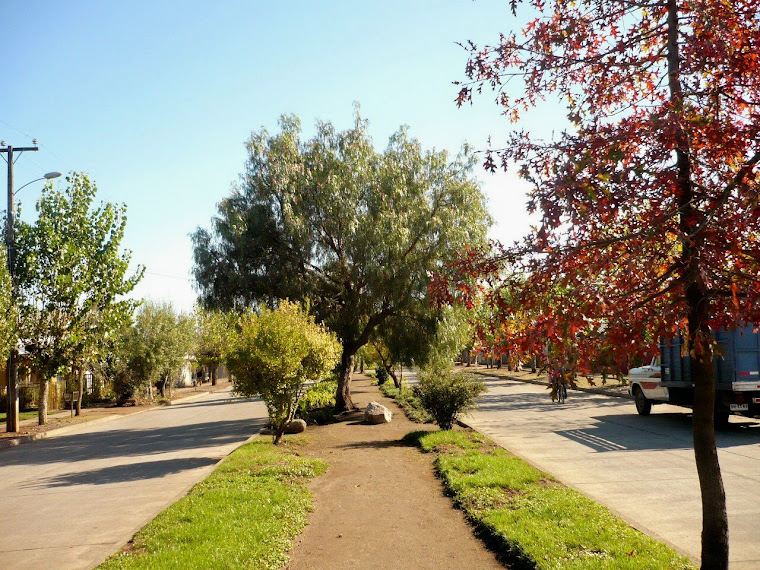 Bulnes, ciudad de las Camelias