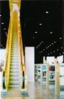 Staircase to the Electronic Library