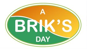 A brik's day