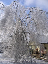 Ice Storm 2009