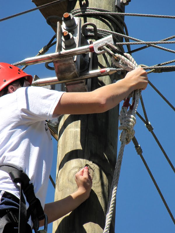 True Adventures of an Art Addict Camp Joy