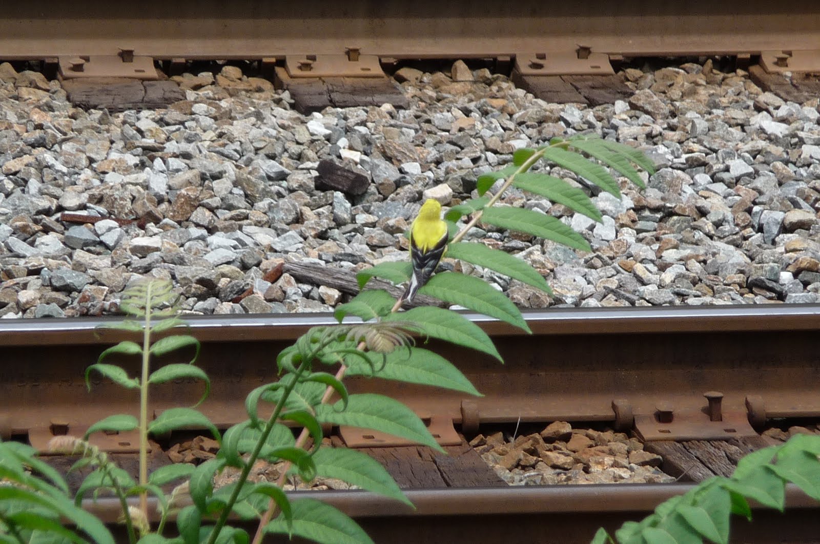 [P1000760.JPG]