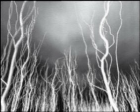 [Secuencia+02.bmp]