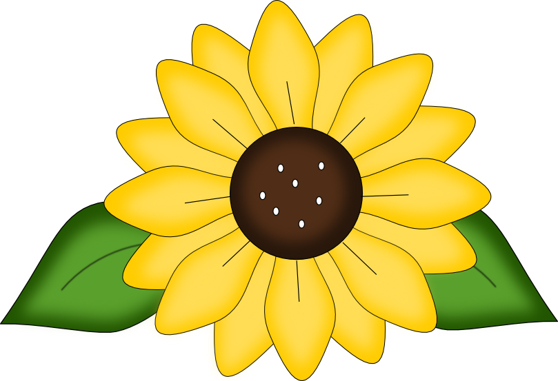 Free Sunflower Svg pattern and png