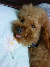 i love eu .. my babe tobyy ^^