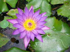 கவின்