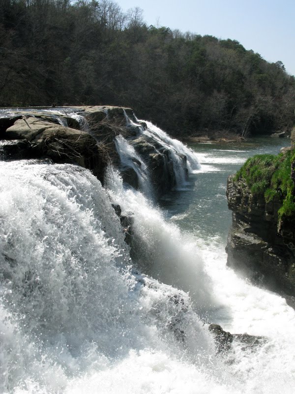 Sunny Side Up High Falls Park Geraldine, Alabama