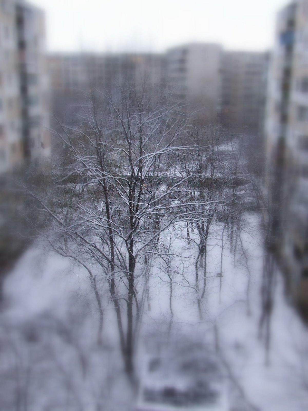 [2007_1217SNOWMAN0007.JPG]