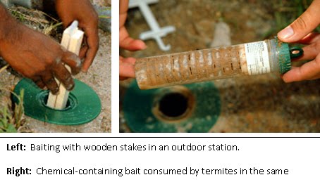 Termite Baiting Program