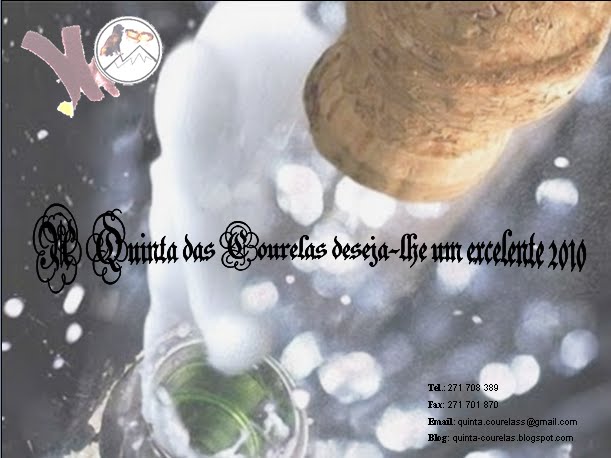 [Feliz+2010.bmp]
