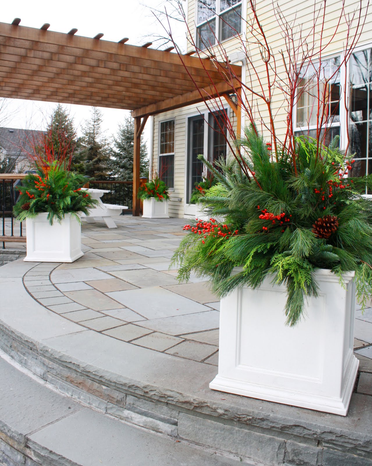 flores del sol: christmas container plantings