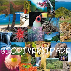 Ano Internacional da Biodiversidade