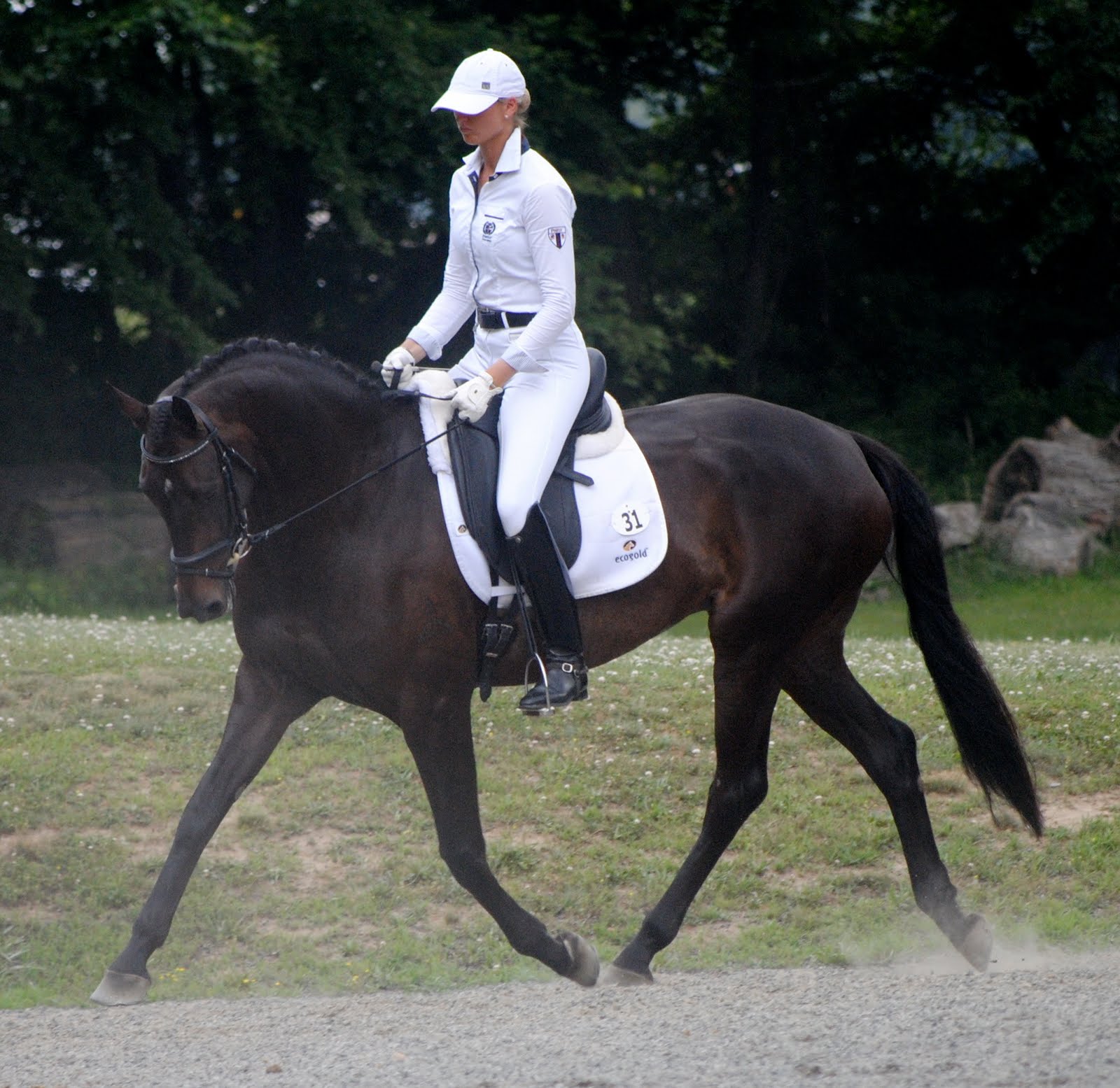 Boyd and Silva Martin Great weekend for Dressage horses at Dressage at