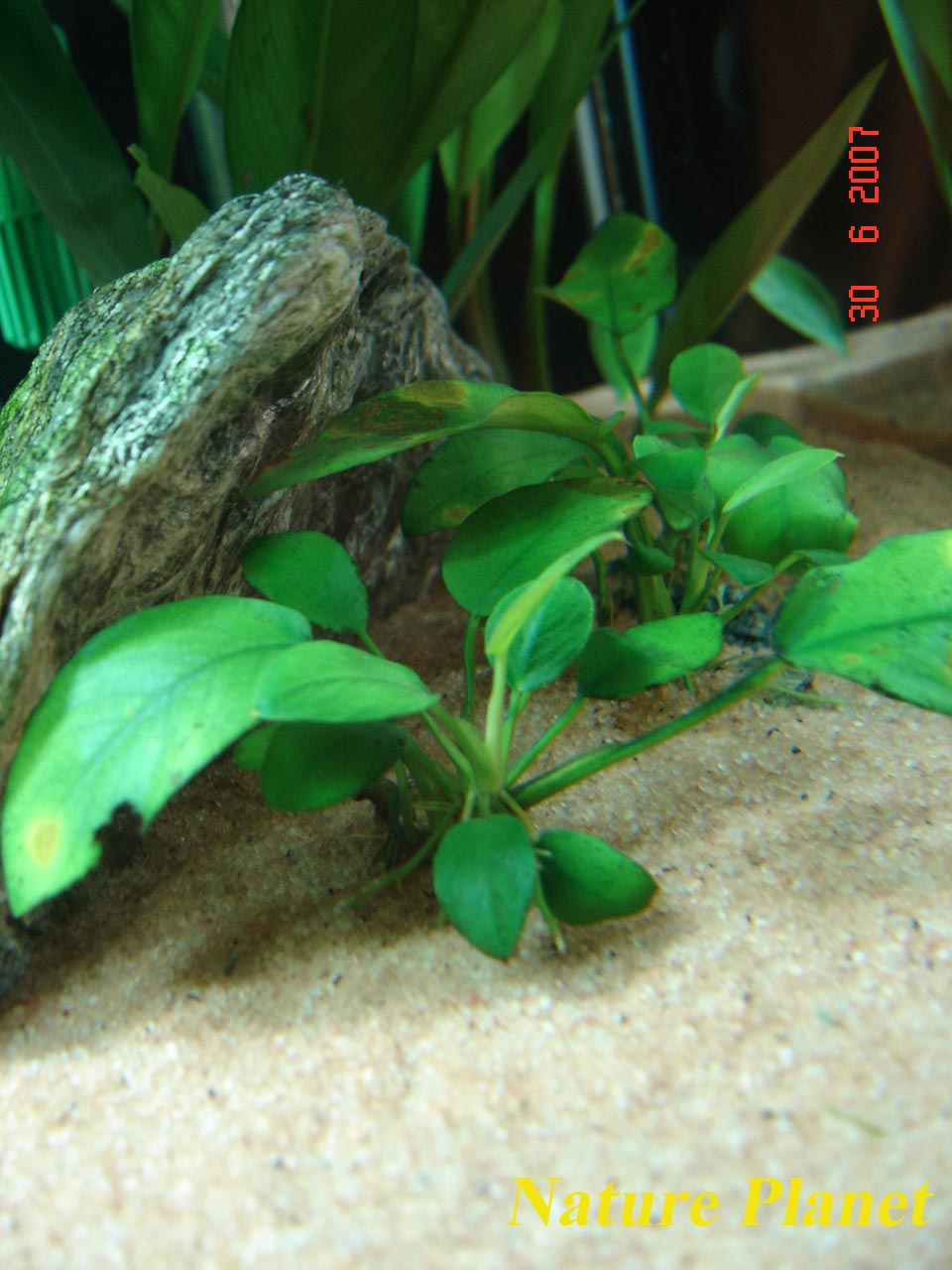 [DSC00531.JPG]