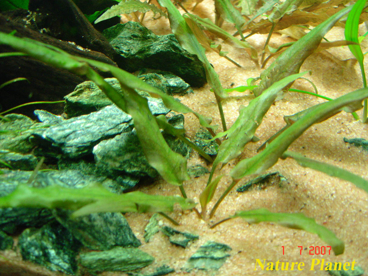 [DSC00564.JPG]