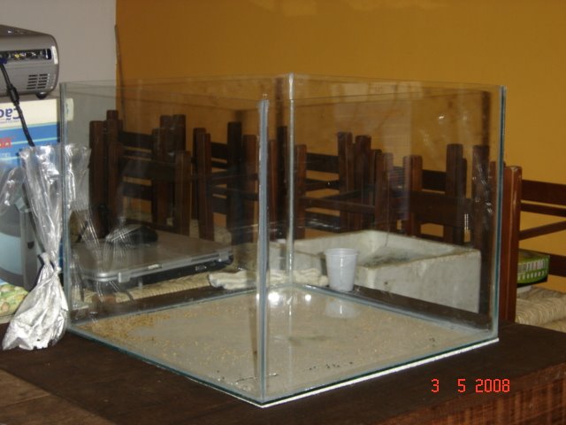 [DSC09073.JPG]