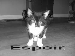 Mon petit chaton Espoir