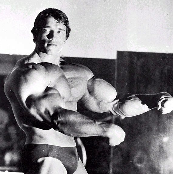 ARNOLD 1