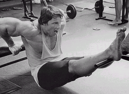 ARNOLD 2