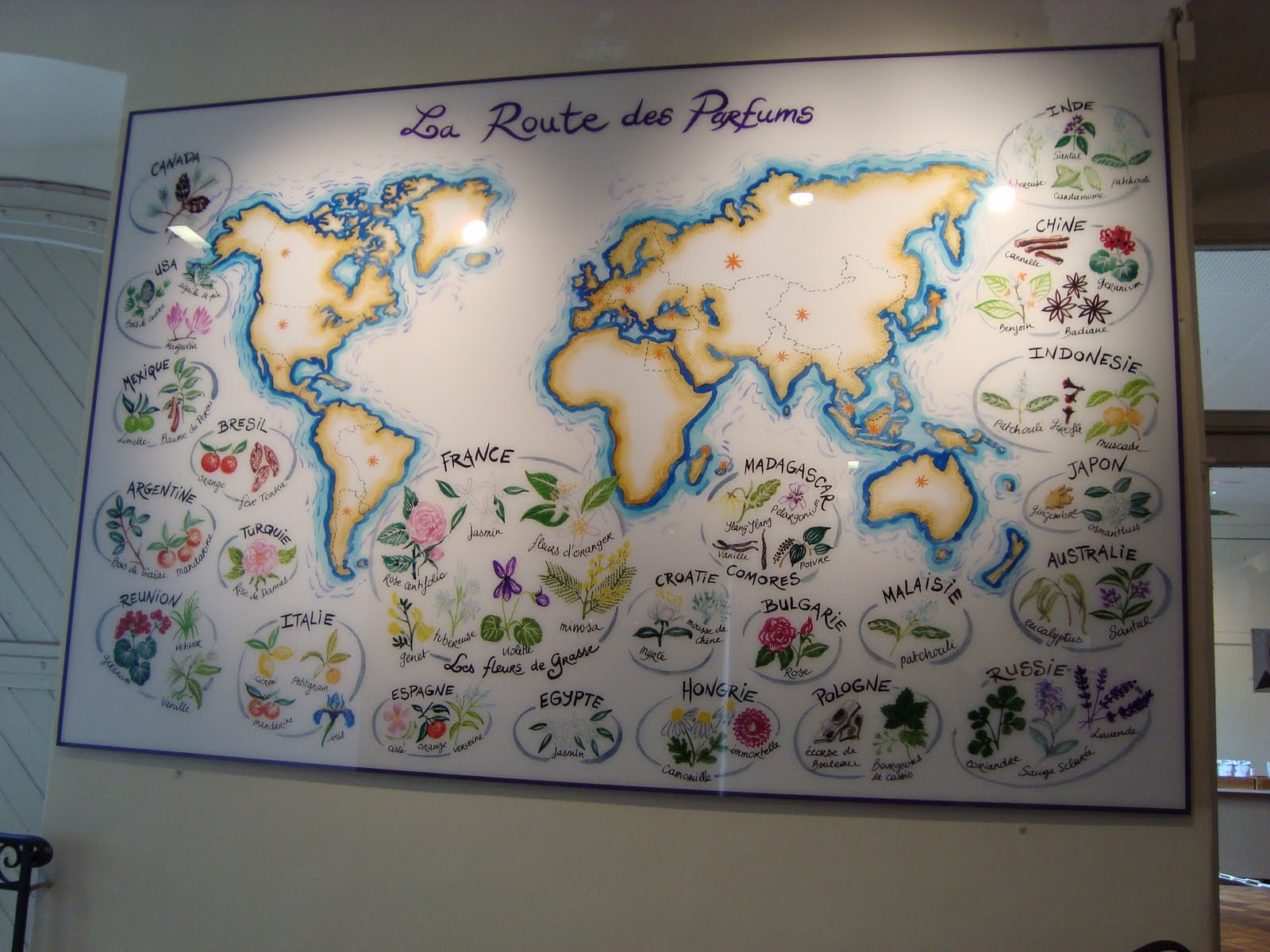 [DSC01775.JPG]