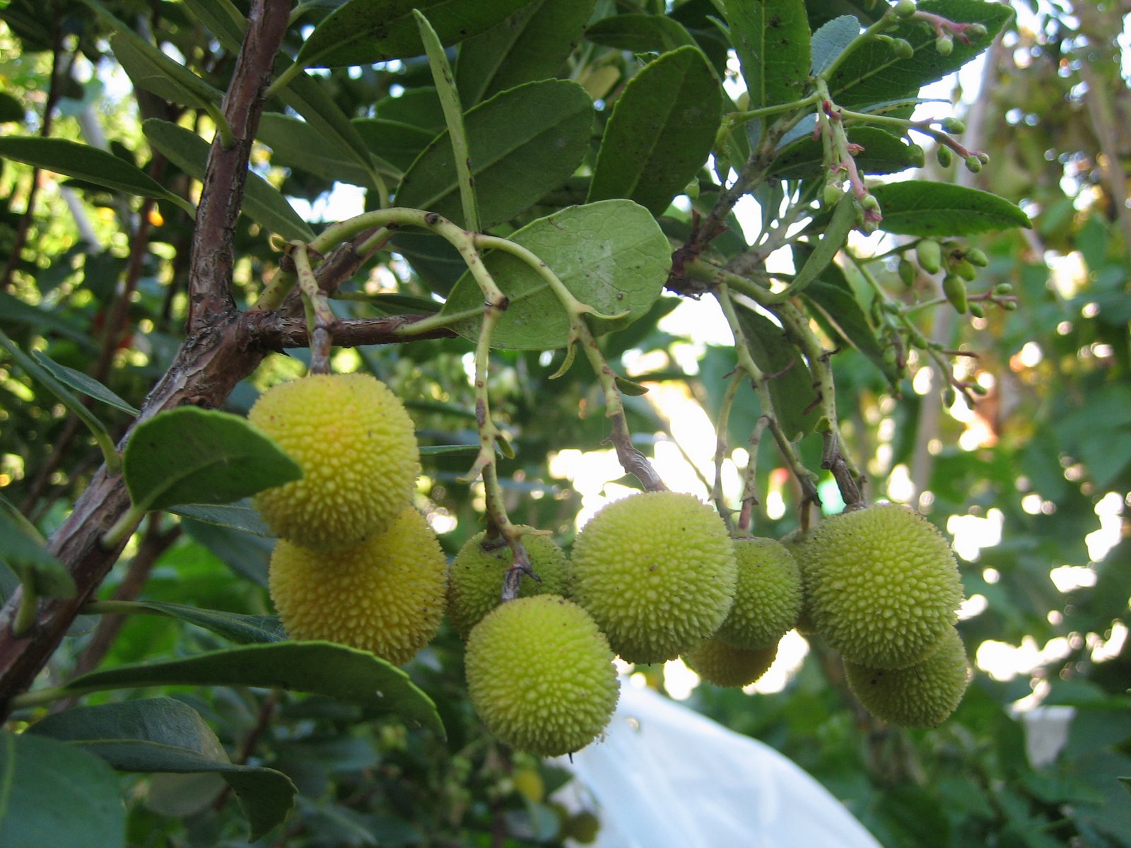 [IMG_2090.JPG]