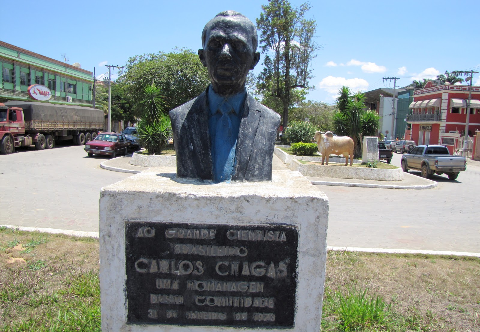 CARLOS CHAGAS