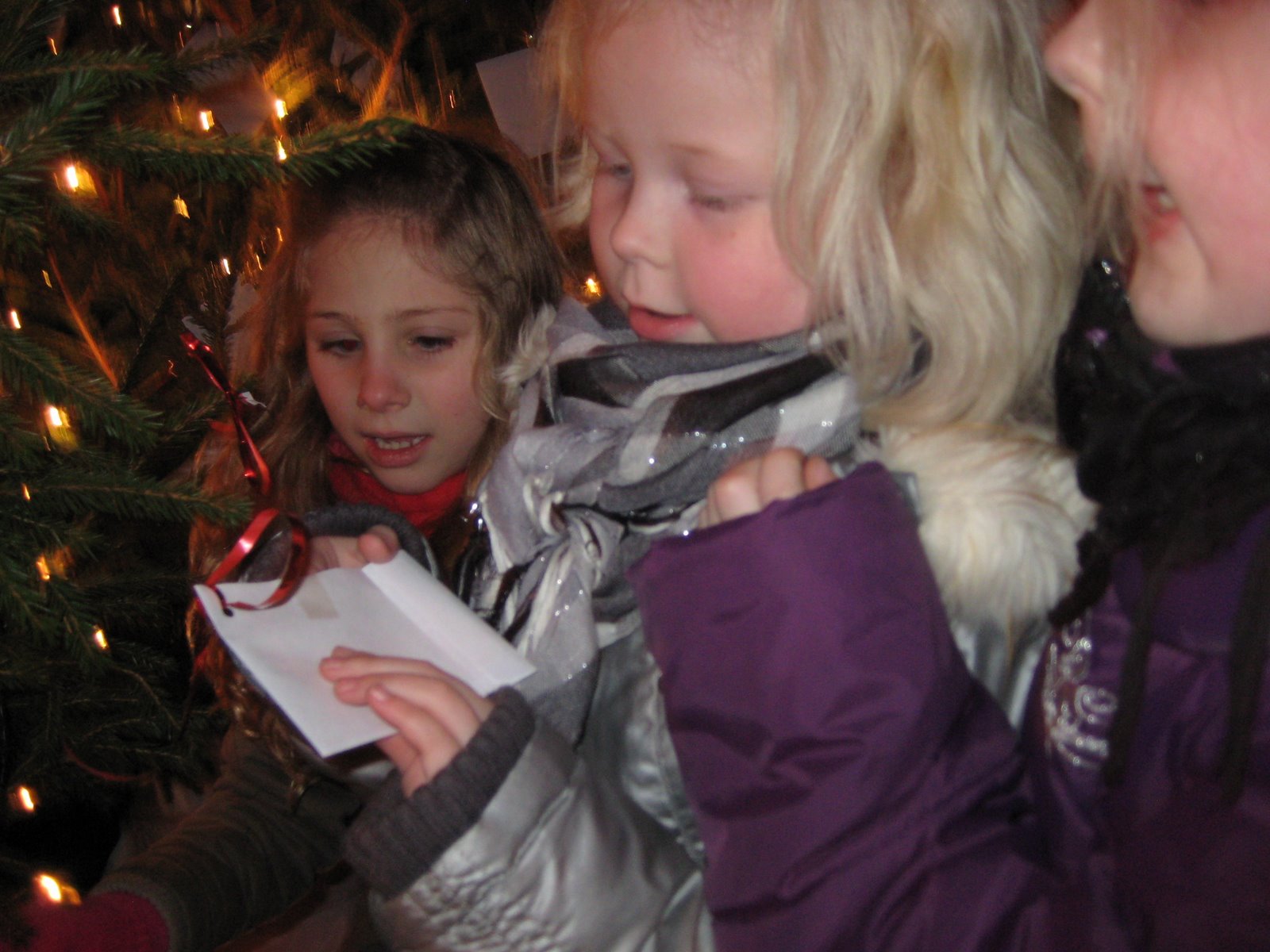 [IMG_1359[1]]