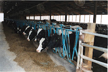 Milk quotas are soon to change