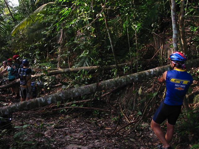 [BatuDamTrailBlock+(Small).JPG]