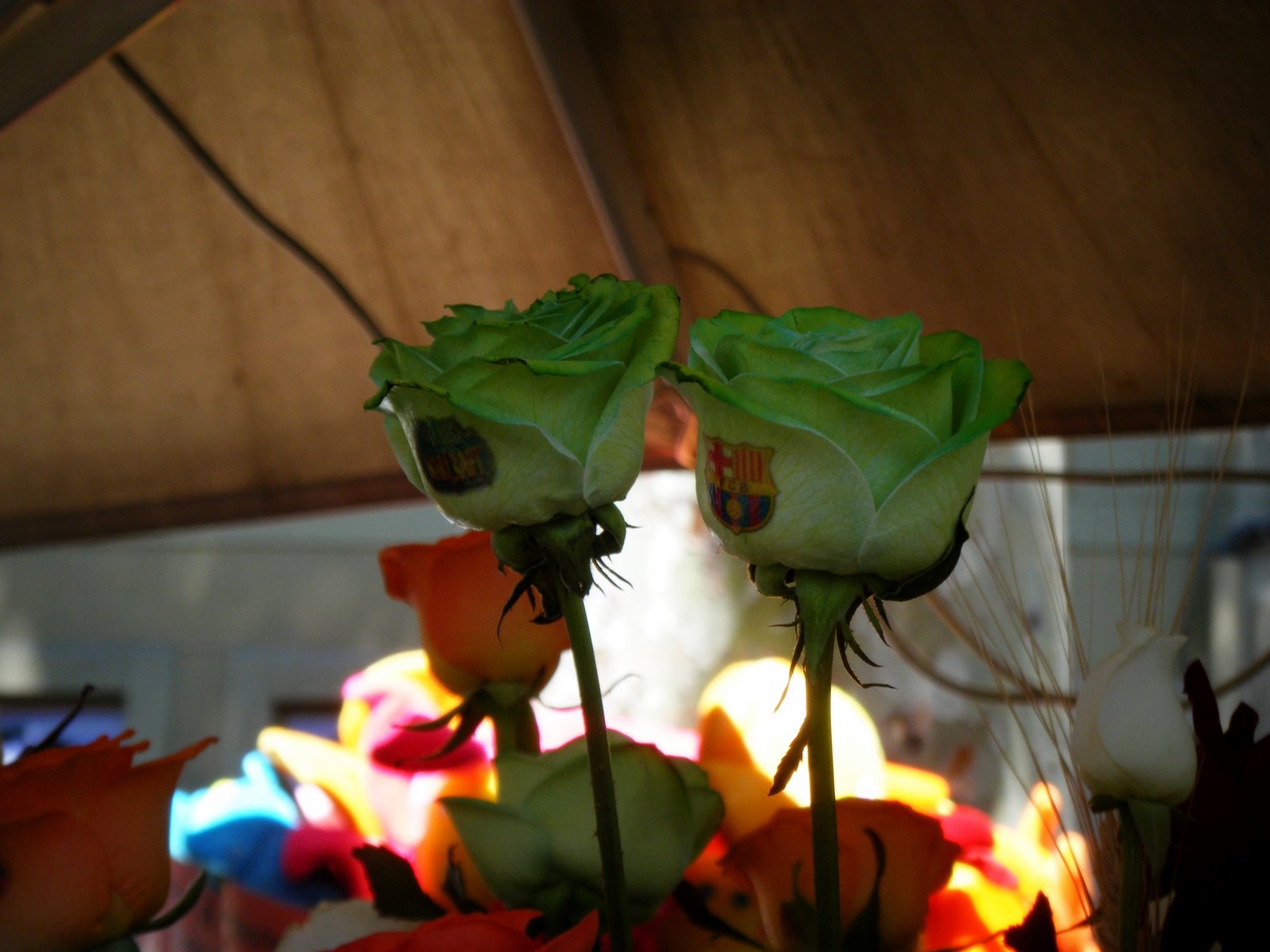 [DSCF9315.JPG]