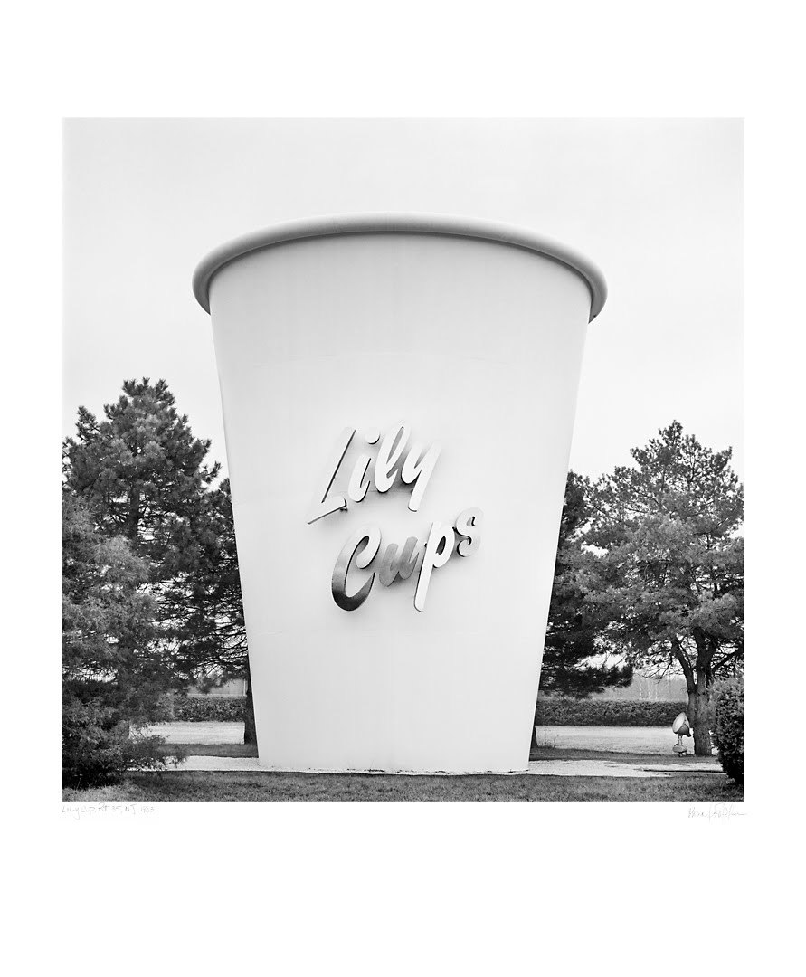 Michael Rafelson Photographs Lily Cup, Rt. 35 NJ 1983