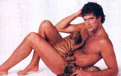hasselhoff.jpg