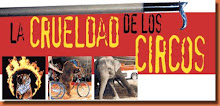 Circo Sin Animales!!