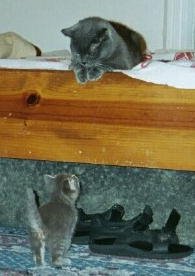 [2003_Summer.jpg]