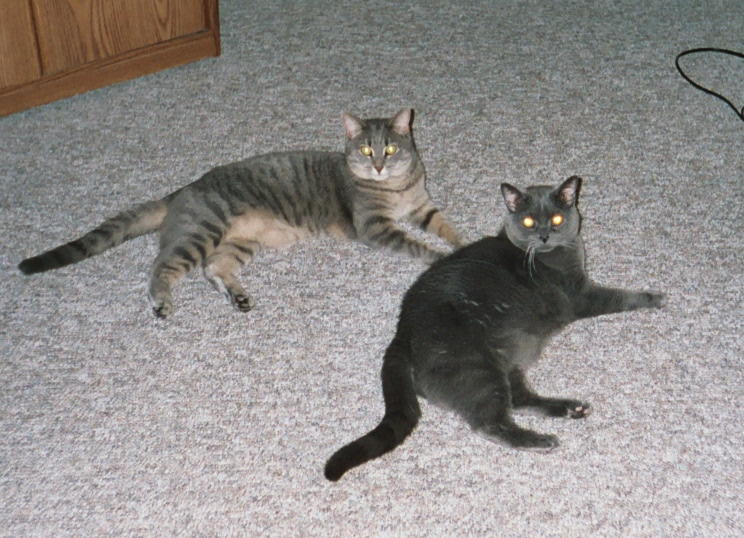 [2004_May.JPG]