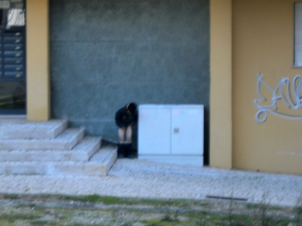 [FSCN6919.JPG]