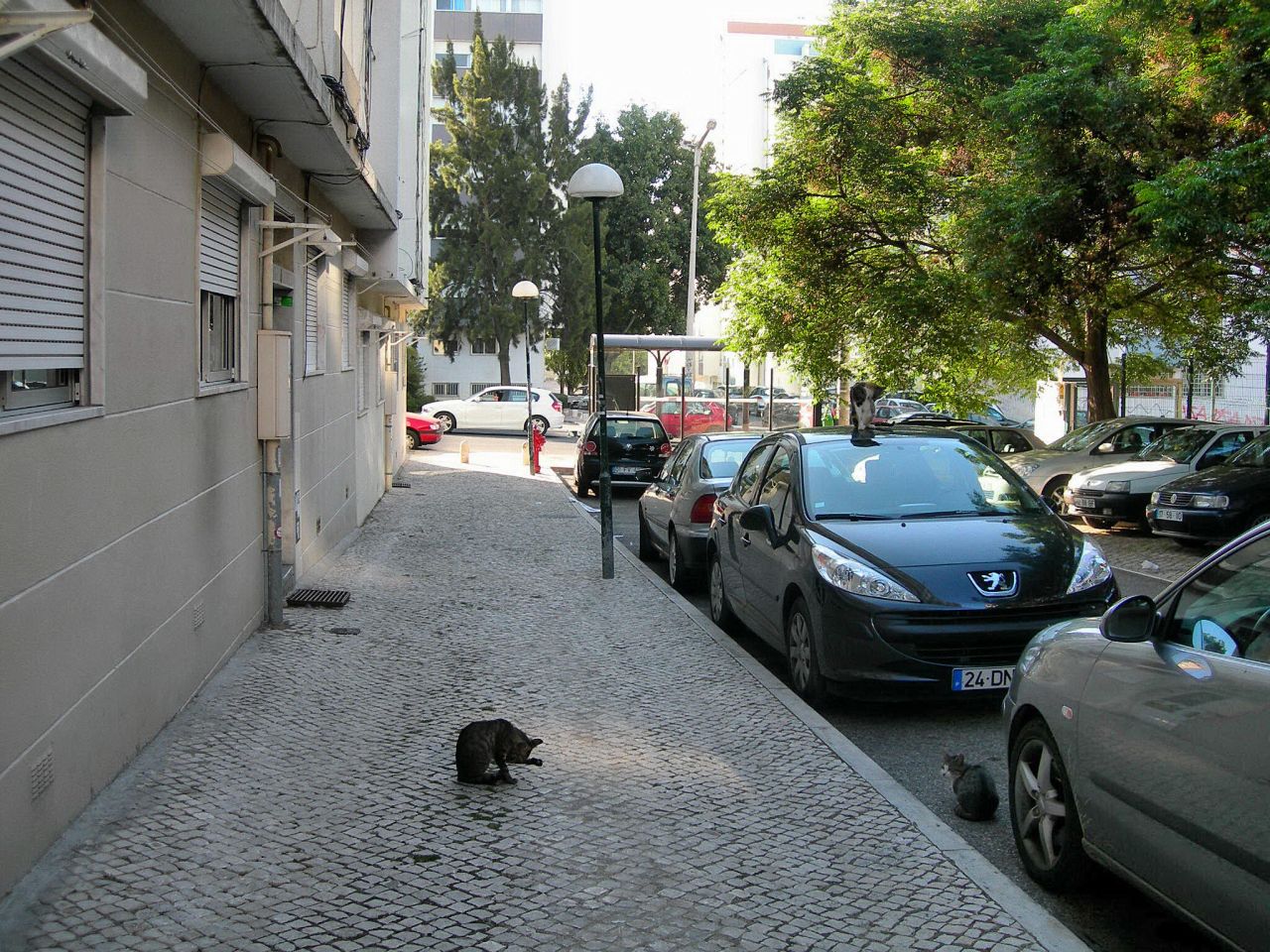 [FSCN8969.JPG]