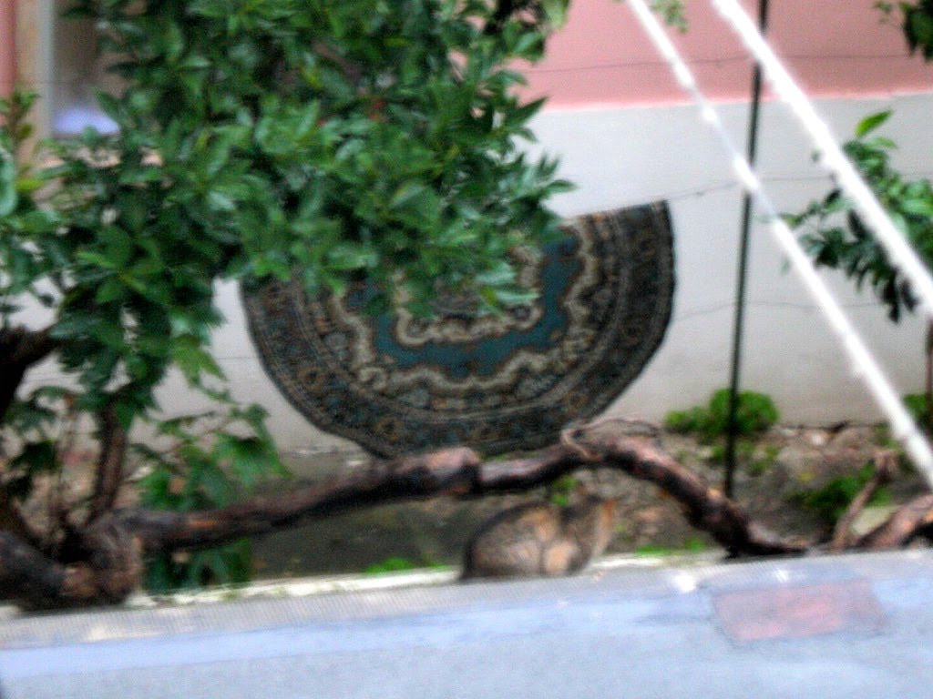 [RSCN0888.JPG]