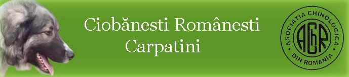 Ciobanesti Romanesti Carpatini