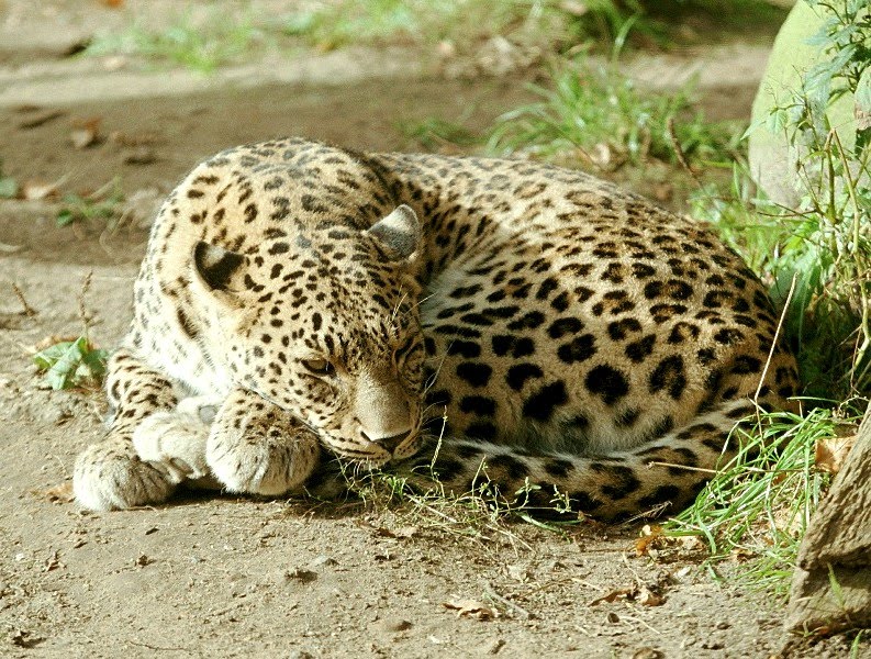 Bhutan pictures - Bhutan nature photos and images | Holiday travel and