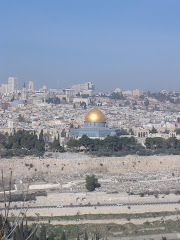2008: Israel Tour with Dr. Harter