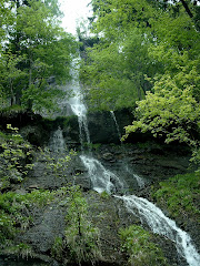 Muntii Harz