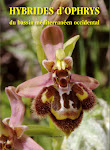 paru en octobre 2008. les hybrides d’Ophrys du bassin méditerranéen occidental.