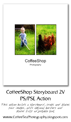 http://coffeeteaphotography.blogspot.com/2009/04/coffeeshop-storyboard-2v-pspse-action.html