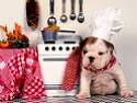 PERRO COCINERO
