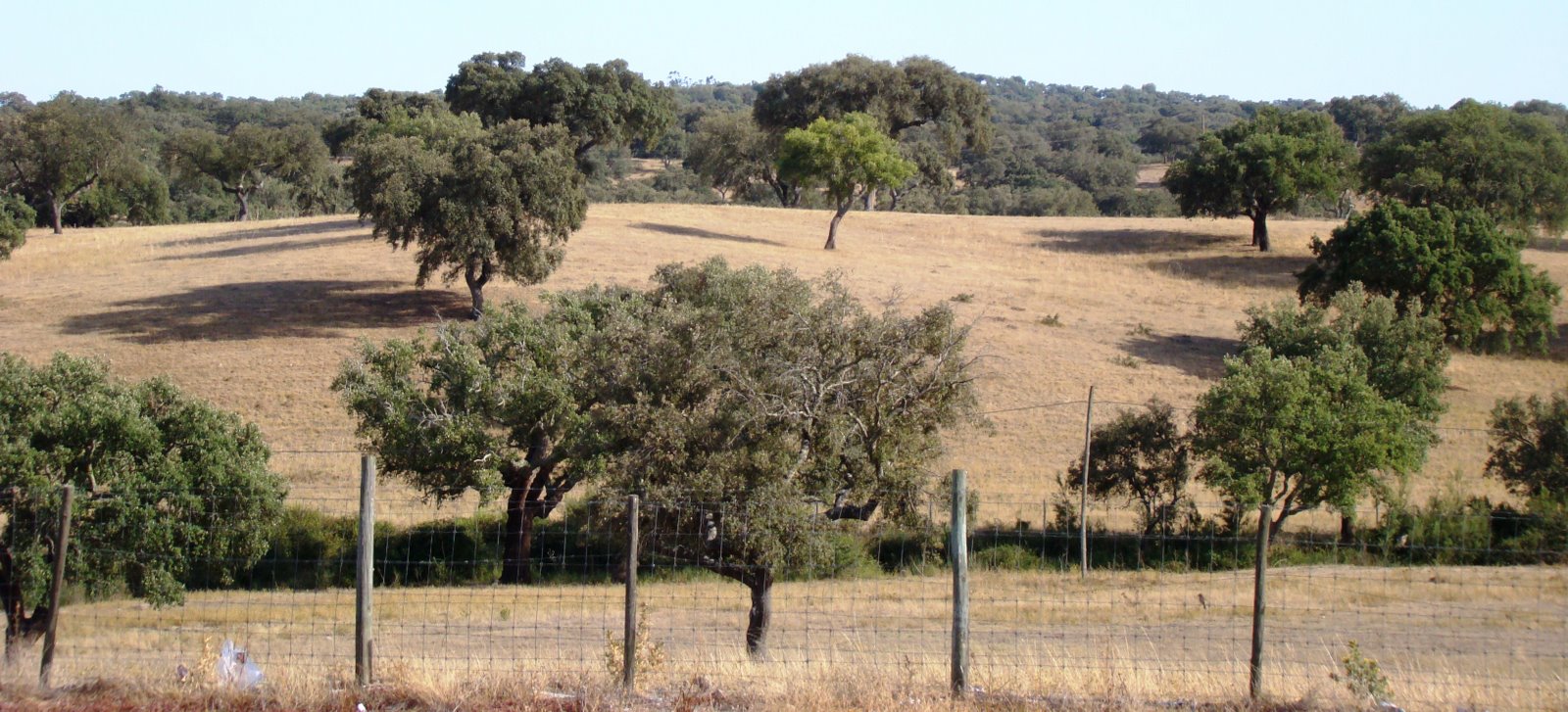[Alentejo.JPG]