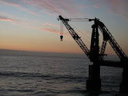 viña del mar