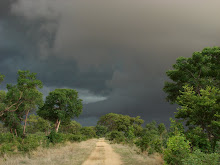 Storm Brewing, Namibia Dec 2006