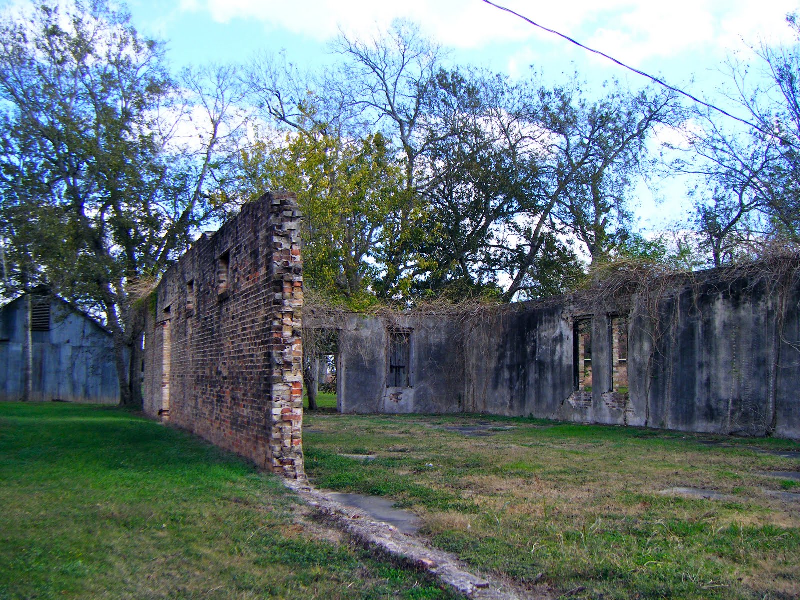 GLIMPSES OF GRACE glen flora