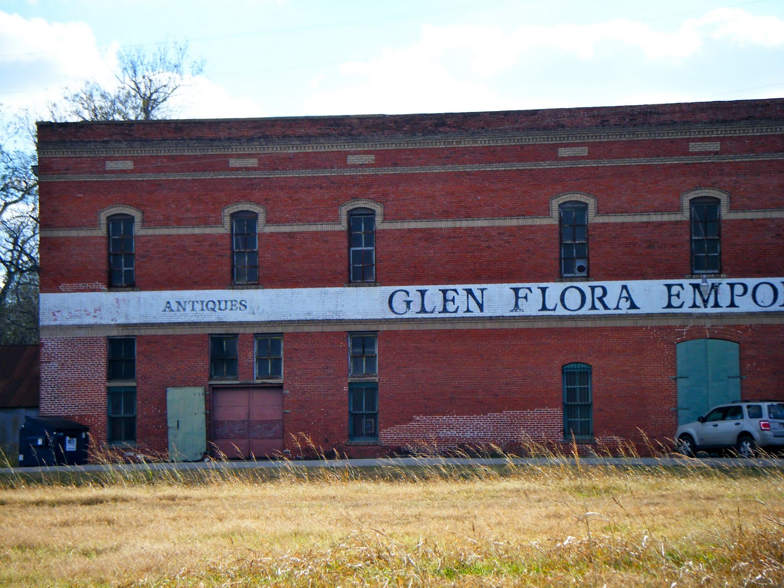 GLIMPSES OF GRACE glen flora